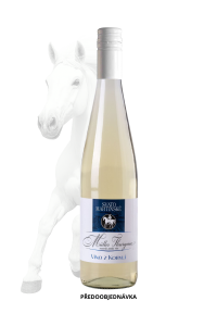 SVATOMARTINSKÉ VÍNO  Müller Thurgau 2026